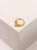 FISH GOLD PLATED PIERCING